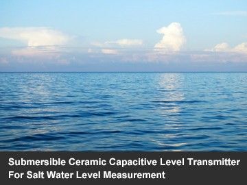 Submersible Ceramic Capacitive Level Transmitter For Salt Water Level Measurement
