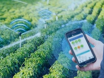 Wireless Pressure Sensors for Water-saving Irrigation