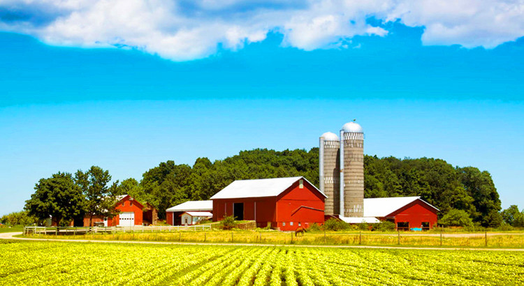 wireless level transmitters are used in farm