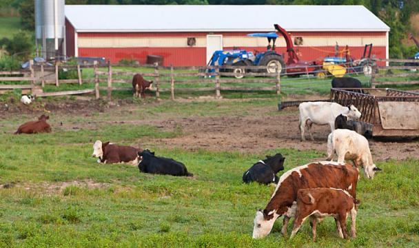 Submersible Borehole Level Sensor for Farm Management