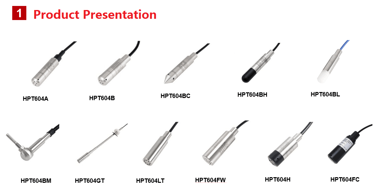 Holykell Submersible Level Sensors