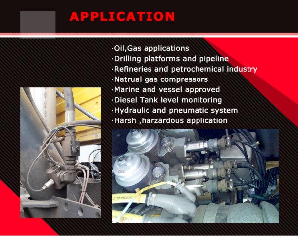 Explosion-proof Pressure Sensor for Natural Gas Distribution