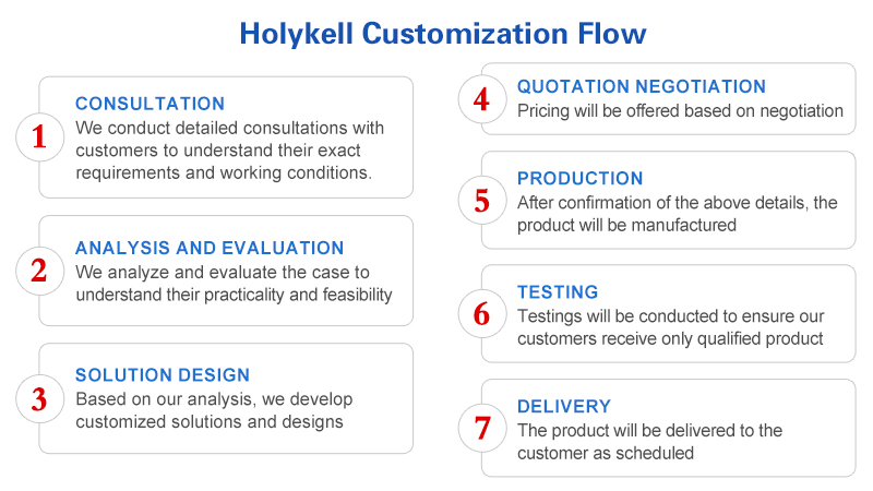 7 Steps to Customize A Holykell Product